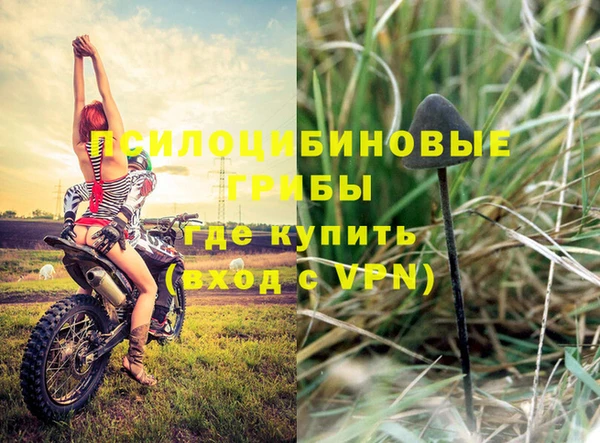 тгк Алексин