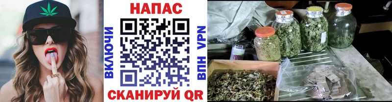 Каннабис SATIVA & INDICA  Муром 